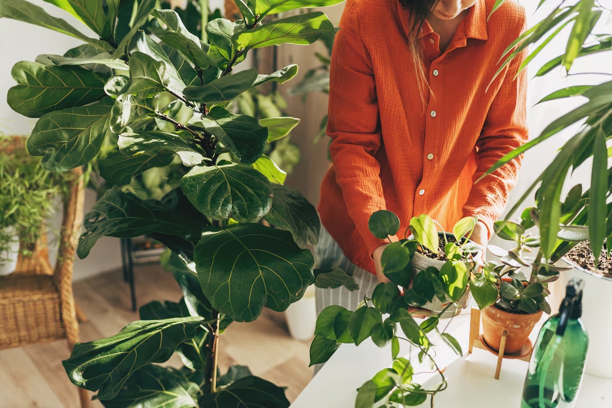 Dispositivos tecnológicos para que tus plantas sean la envidia de cualquiera