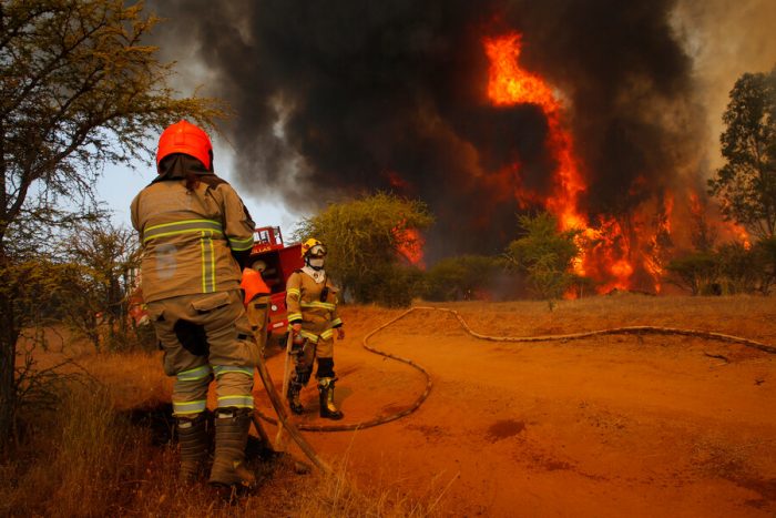 Gobierno de Chile Declara Estado de Emergencia por Incendios Forestales en Ñuble y Maule